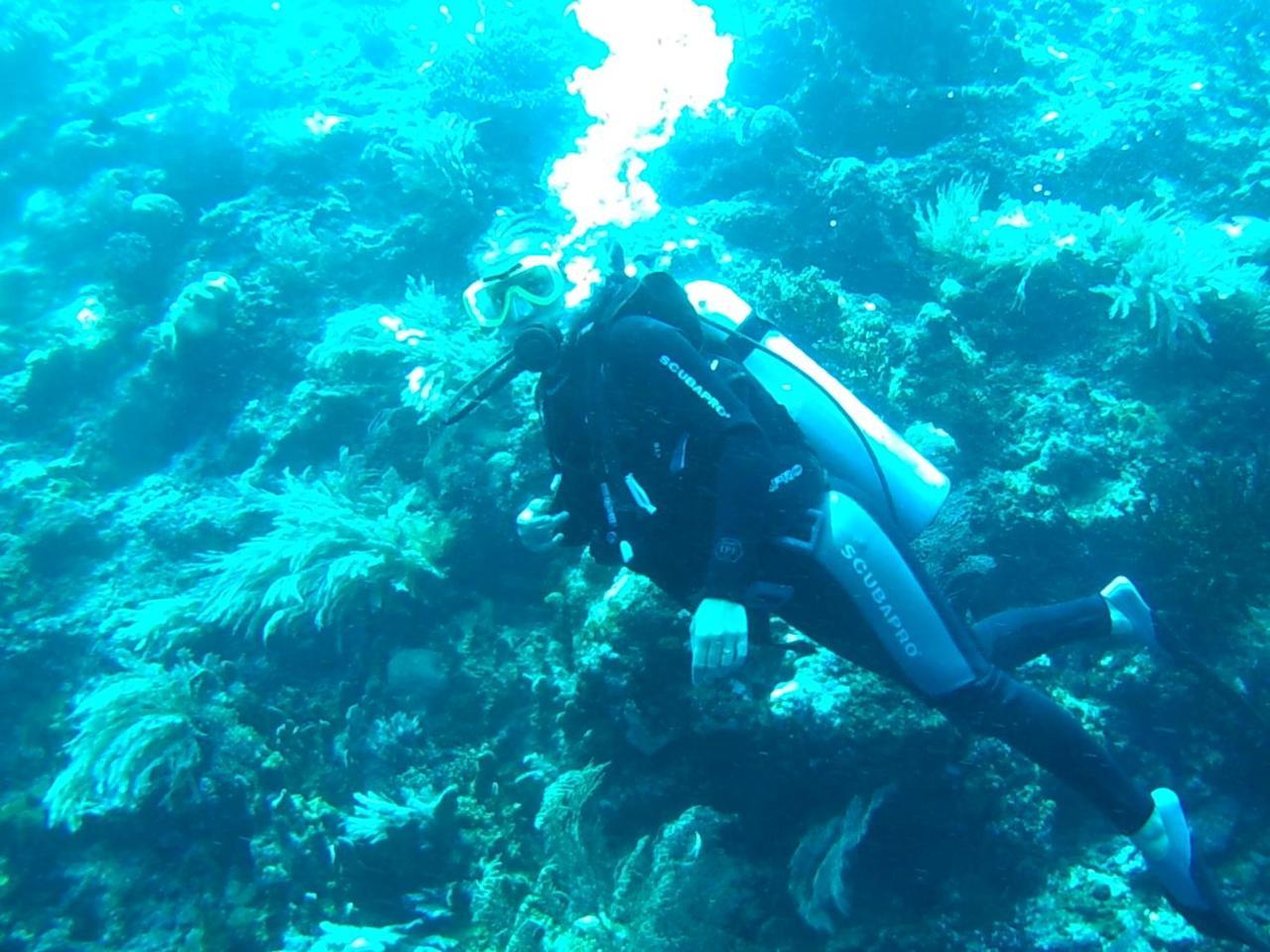 Wakatobi Patuno Diving And Beach Resort By Sahid Wanci Экстерьер фото